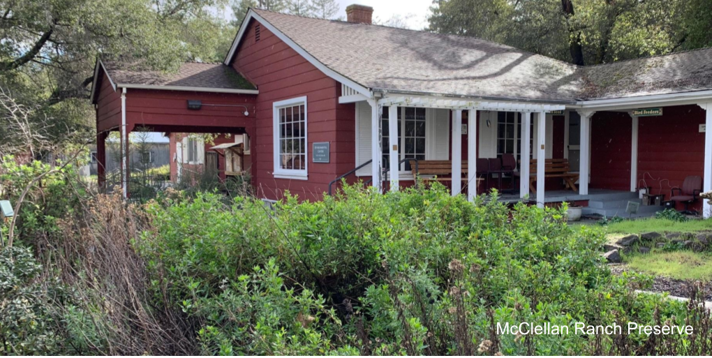 Backyard Birds for Beginners at McClellan Ranch Banner