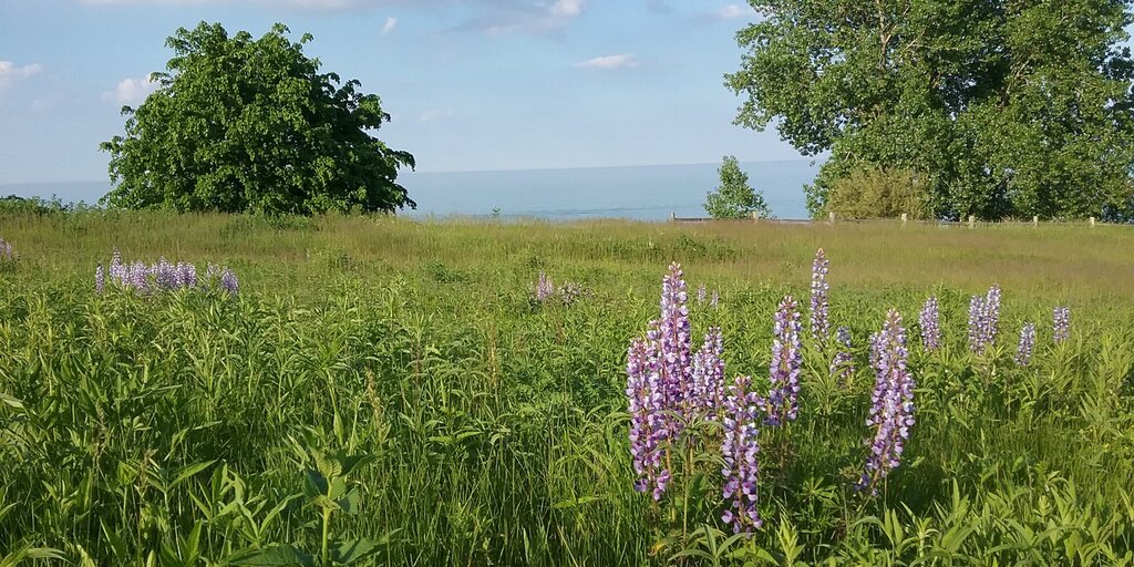 Seven-Day Centering Prayer Retreat Banner
