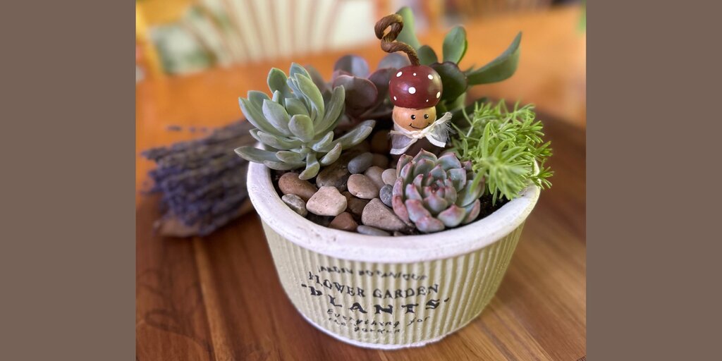 Succulent Planter Class with Mac the Farm Buy Tickets in Carlisle