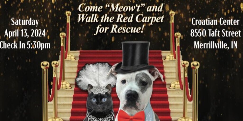 5th Annual Rescue Gala - Hooray for Howlywood!   Banner