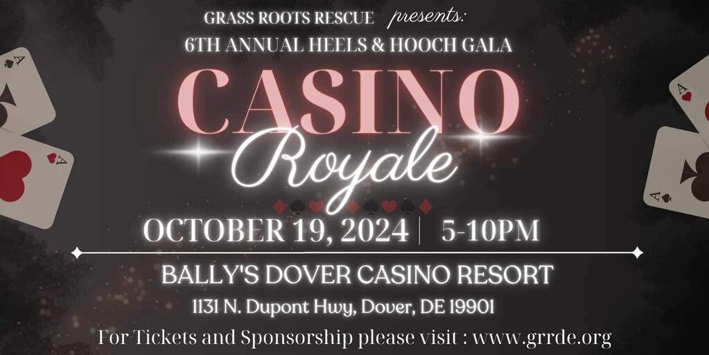6th Annual Heels & Hooch Gala: Casino Royale  Banner