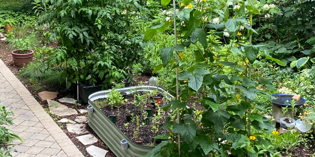 Edibles & Natives: Incorporating Native Plants into Vegetable Gardens Banner