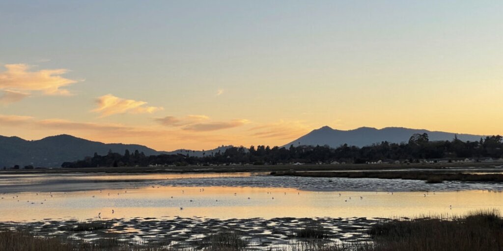 Las Gallinas Sanitary District & Hamilton Wetlands Banner