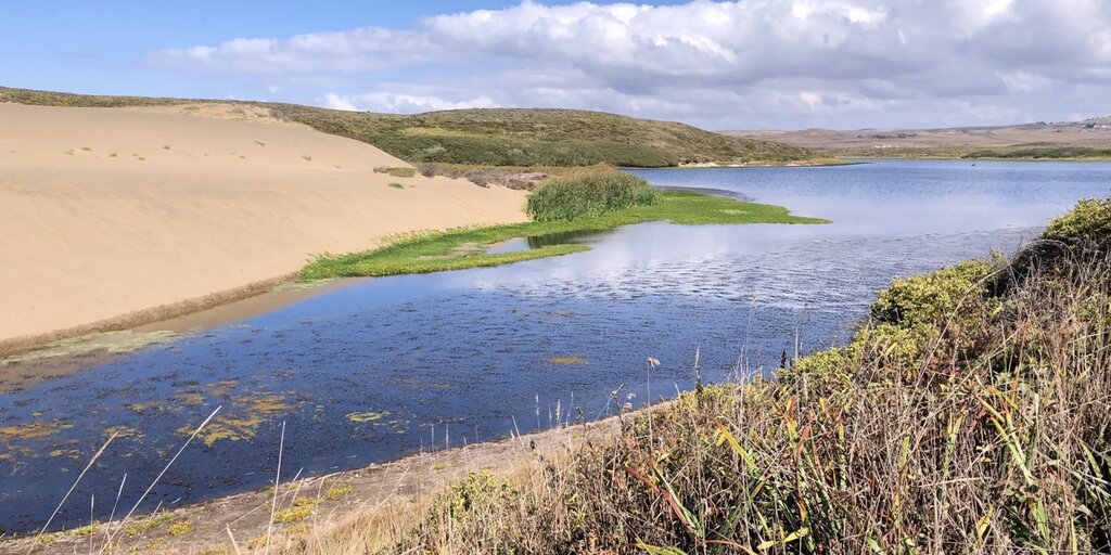 Abbots Lagoon and the Inverness Tennis Area - Birding in Marin Banner