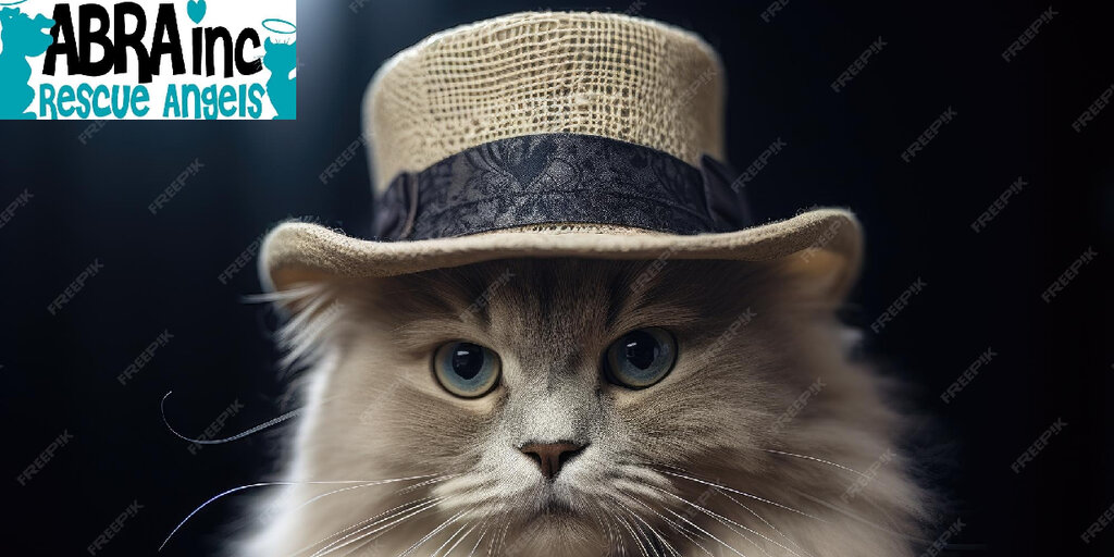 ABRA's 7th Annual Rescue Gala Banner