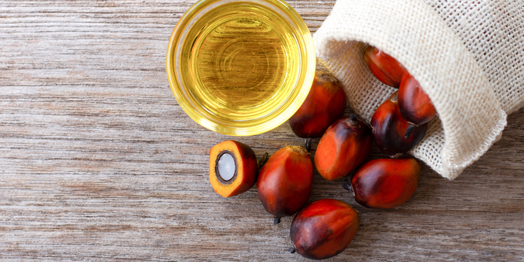 June Sprouting Project Dinner: Palm