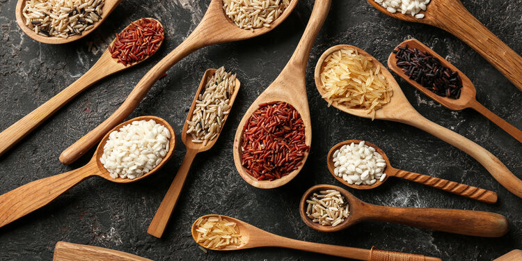 November Sprouting Project Dinner: Rice