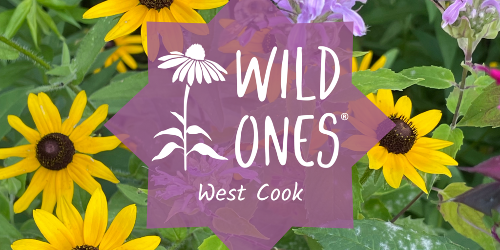 West Cook Wild Ones Annual Member Meeting 2026 Banner