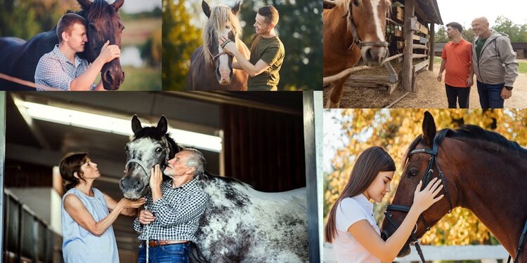 Equine Assisted Camaraderie