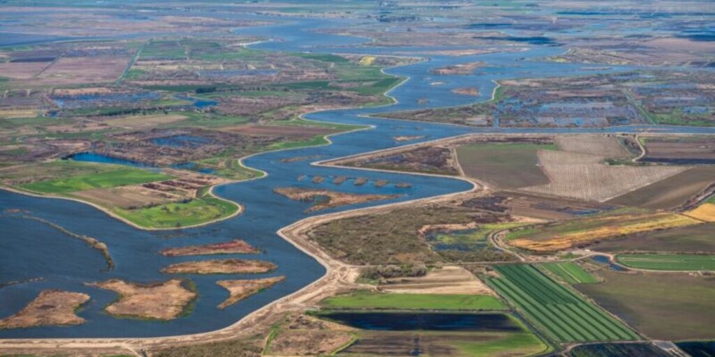 Winter Birds of the Delta - Boat Trip Banner
