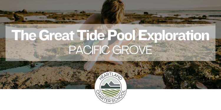 The Great Tide Pool Exploration- Heartland Charter School