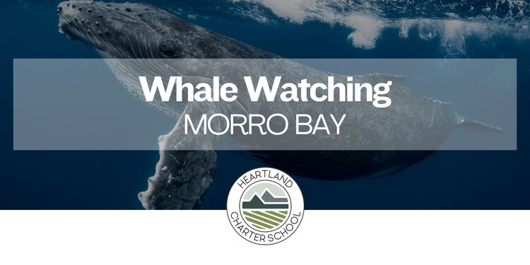 Whale Watching- Heartland Charter School