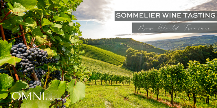 The Homestead Sommelier Wine Tasting | New World Treasure
