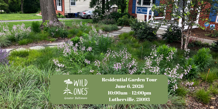 Residential Garden Tour (Lutherville 21093)
