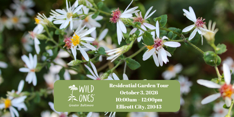 Residential Garden Tour (Ellicott City 21043)