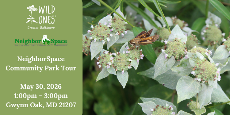 NeighborSpace Community Park Tour