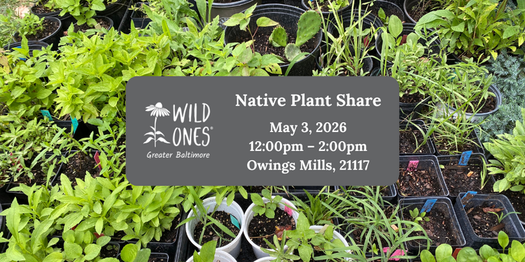 Native Plant and Seed Share - Wild Ones Greater Baltimore