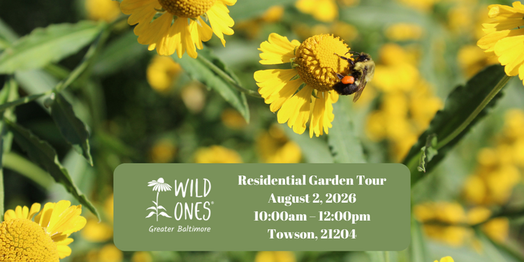 Residential Garden Tour (Towson 21204)