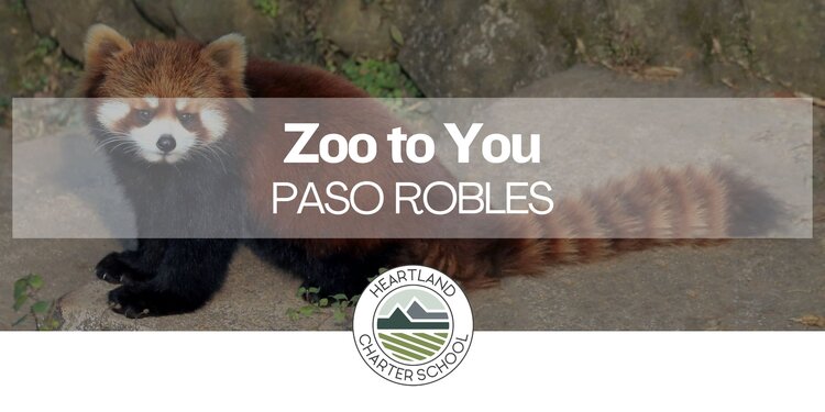 Zoo to You- Heartland Charter School