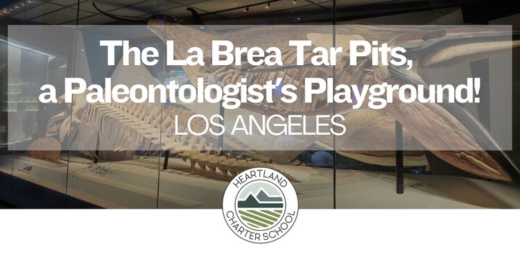The La Brea Tar Pits and Museum- Heartland Charter School