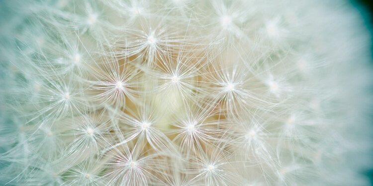 Free: Third Eye Clearing