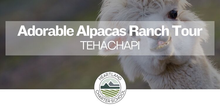 Adorable Alpacas Ranch Tour- Heartland Charter School