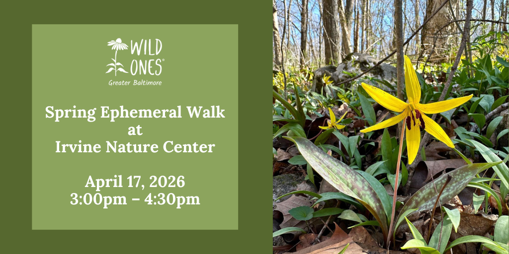 Spring Ephemeral Walk Banner