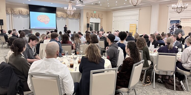 Out-of-Network, Into Profit: Strategic Insurance Navigation for Dentists