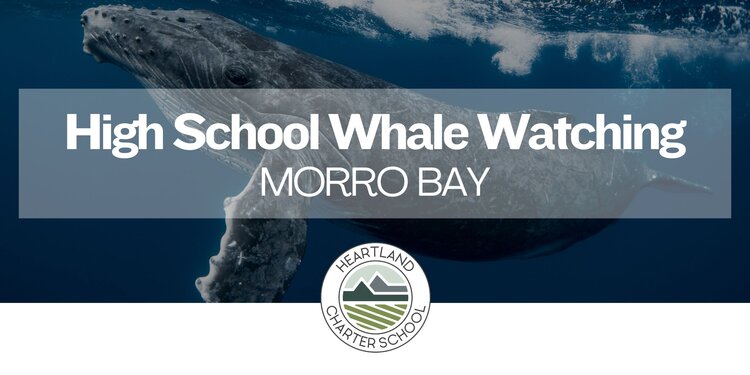High School Whale Watching- Heartland Charter School