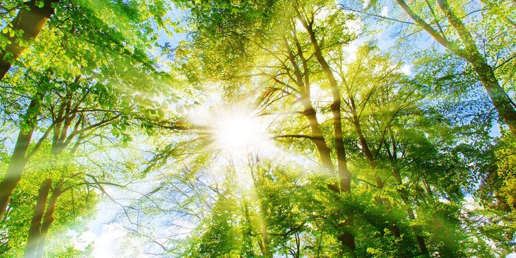 April 14, 2026 - Midday Divine Mother Healing