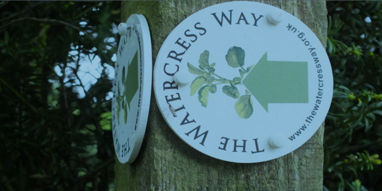 The Watercress Way Sponsored Walk 2026