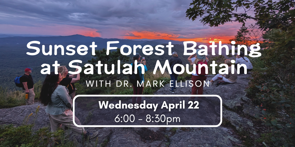 Sunset Forest Bathing at Satulah Mountain Banner