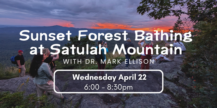 Sunset Forest Bathing at Satulah Mountain