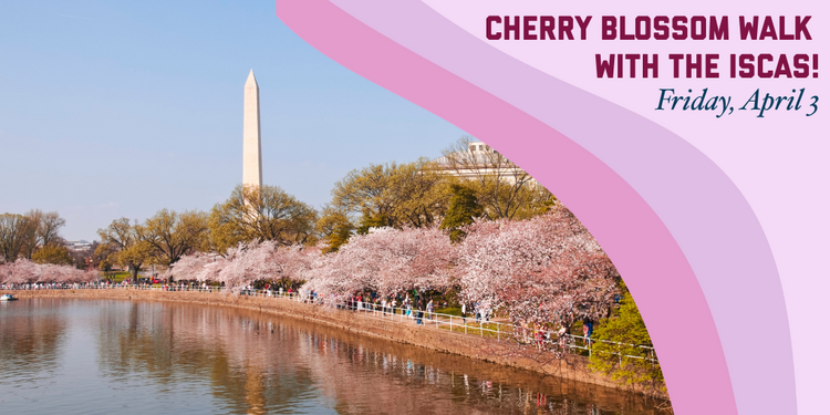 Tidal Basin Cherry Blossom Walk