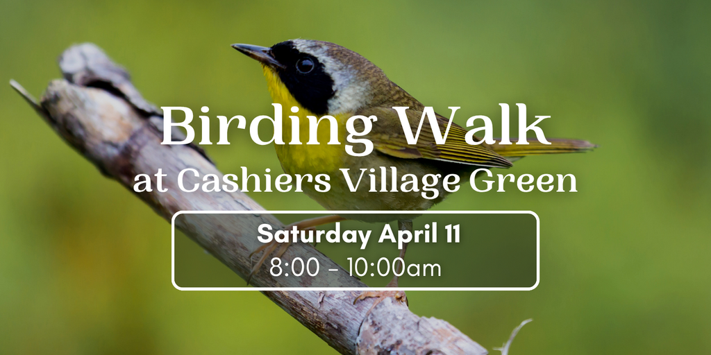 Birding Walk at Cashiers Village Green Banner