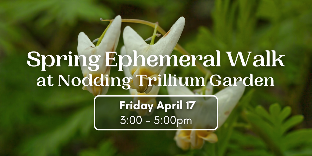 Spring Ephemerals Walk Banner
