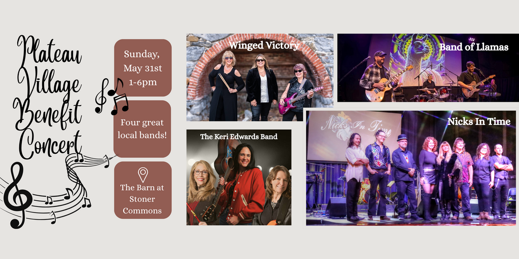 Plateau Village Park Benefit Concert Banner