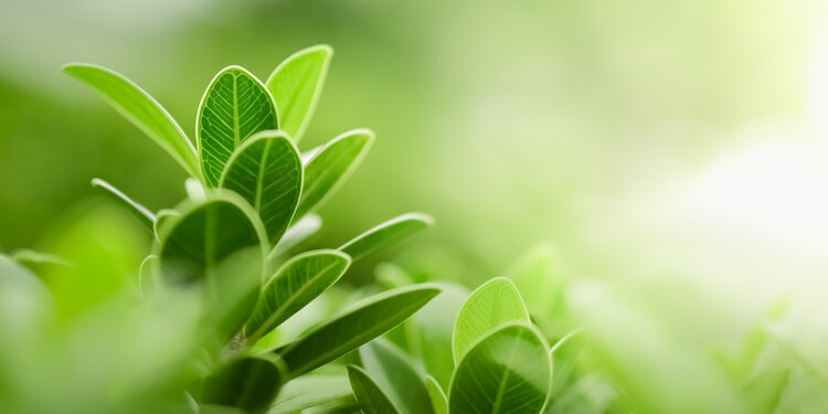 Resilience in Practice