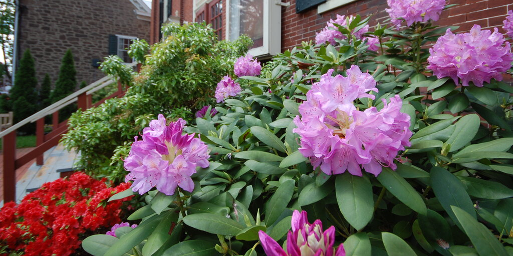 Sixth Annual Reel Garden Party Banner
