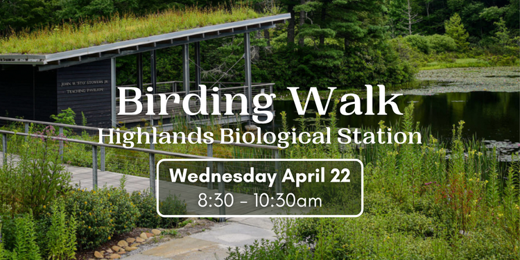 Birding Walk at Highlands Biological Station