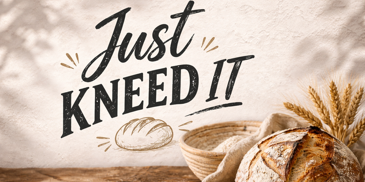 5/3/26 Sourdough Workshop at Arbosana 