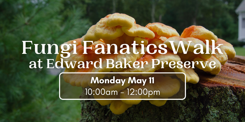 Fungi Fanatics Walk at Edward Baker Preserve Banner