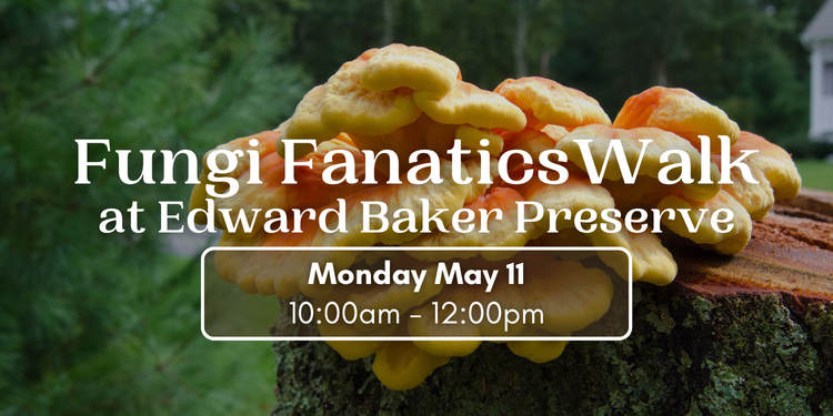 Fungi Fanatics Walk at Edward Baker Preserve