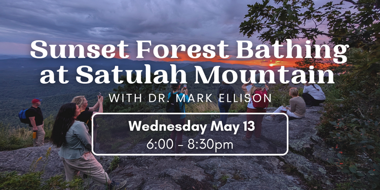 Sunset Forest Bathing at Satulah Mountain