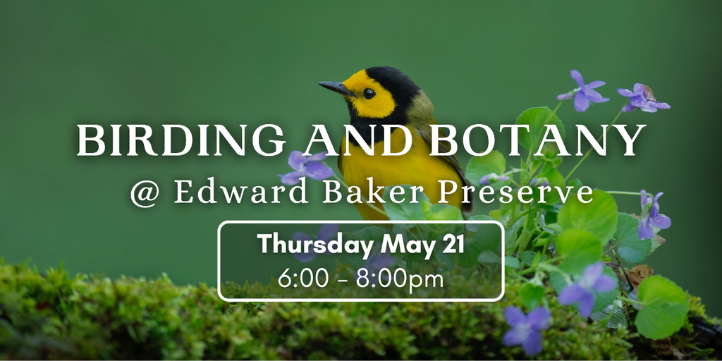 Birding and Botany Banner