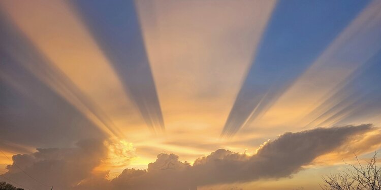 Trust in Manifestation - with Rev. Pam Harding