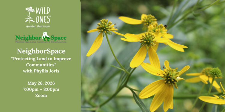NeighborSpace “Protecting Land to Improve Communities”