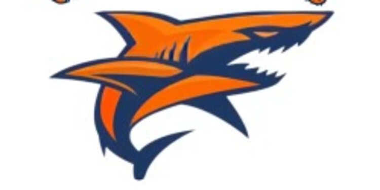 Round Rock Bison VS STX Sharks