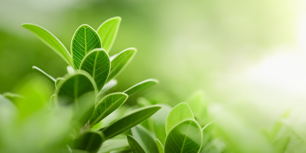 Resilience In Practice Banner