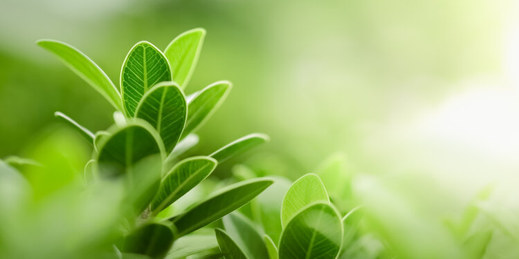 Resilience In Practice